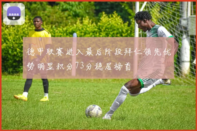 德甲联赛进入最后阶段拜仁领先优势明显积分73分稳居榜首