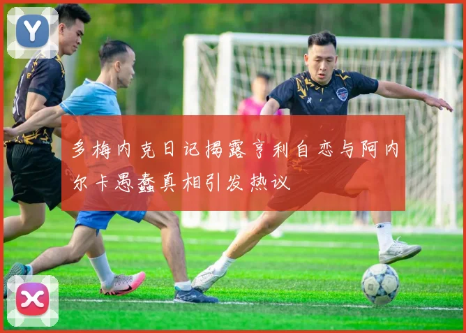 多梅内克日记揭露亨利自恋与阿内尔卡愚蠢真相引发热议